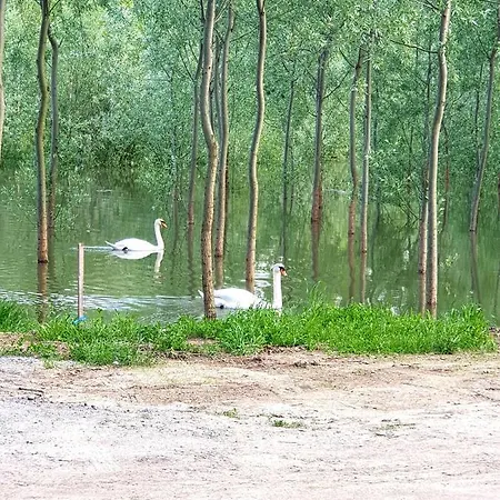 Vakantiehuis Vikendica Dunav Ms *