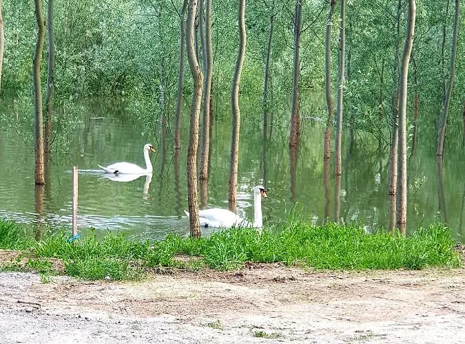 Hébergement de vacances Vikendica Dunav Ms *