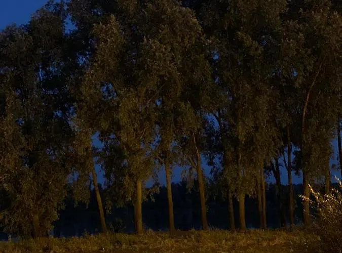 Hébergement de vacances Vikendica Dunav Ms *